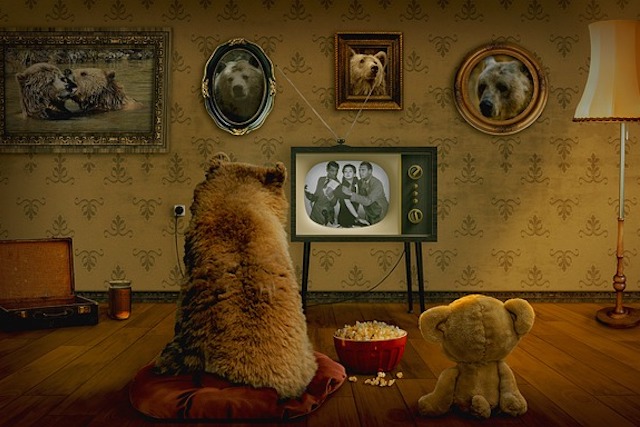 テレビを見るクマ