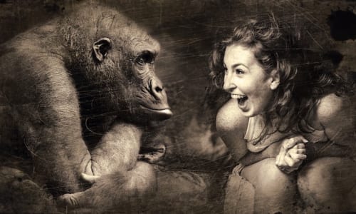 真顔の猿と笑う女性。